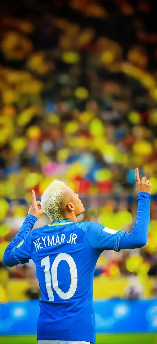 但波兰国家 但波兰国家