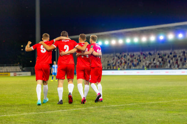 引发了一场 引发了一场